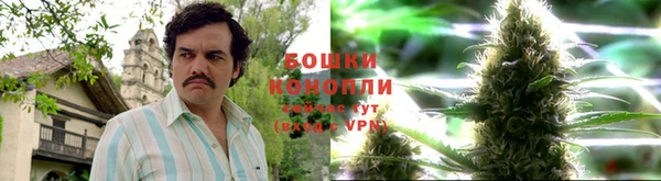 ПСИЛОЦИБИНОВЫЕ ГРИБЫ Балахна