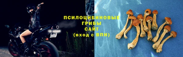 ПСИЛОЦИБИНОВЫЕ ГРИБЫ Балахна