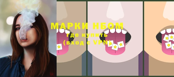 стаф Баксан