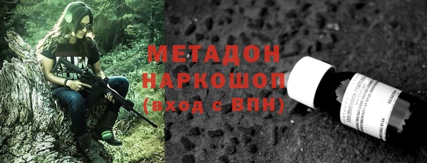 гидра Гатчина