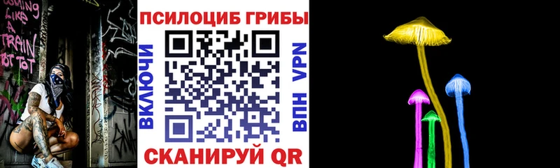 как найти закладки  блэк спрут ссылки  Псилоцибиновые грибы Psilocybe  Заинск 