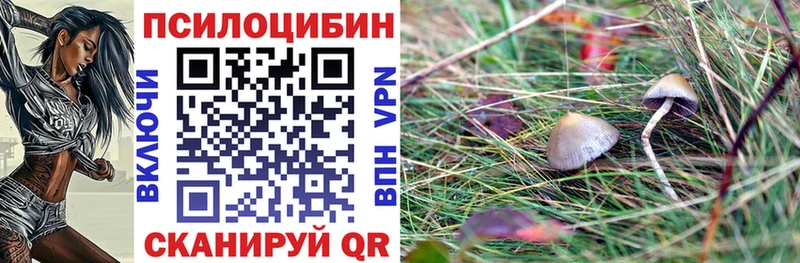 Галлюциногенные грибы Psilocybine cubensis Заинск